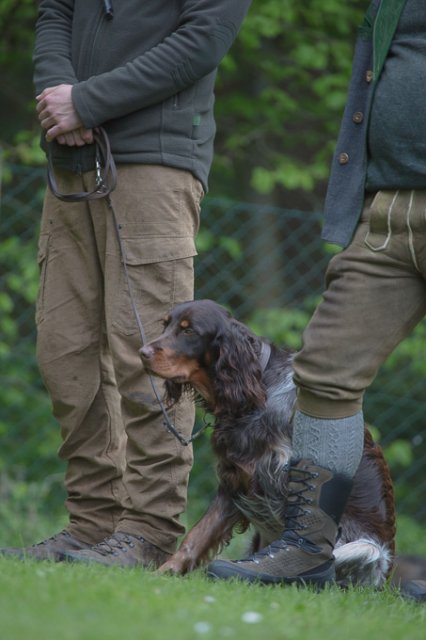 Hundepräsentation 2019